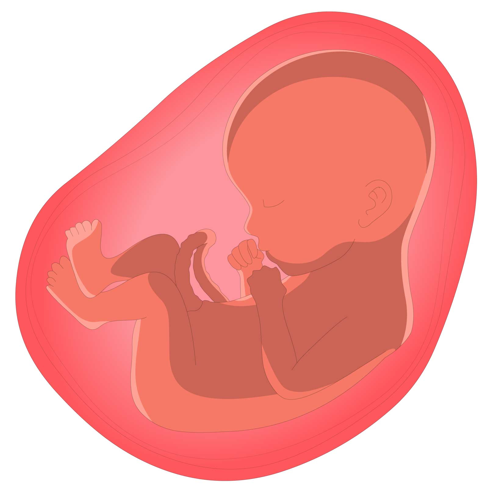 Using White Noise To Help Your Baby Sleep Experienced Mommy