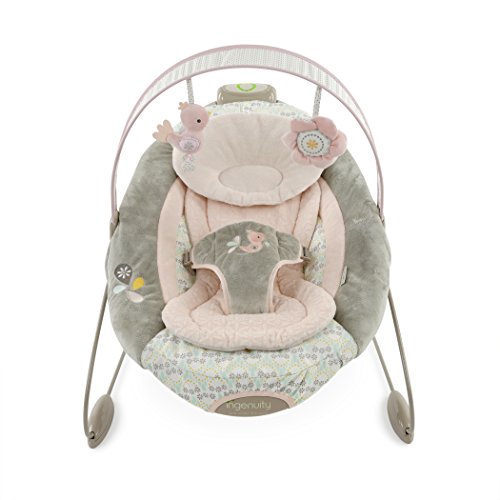 baby bjorn automatic bouncer