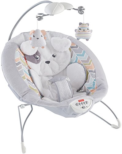 baby bjorn bouncer vs fisher price