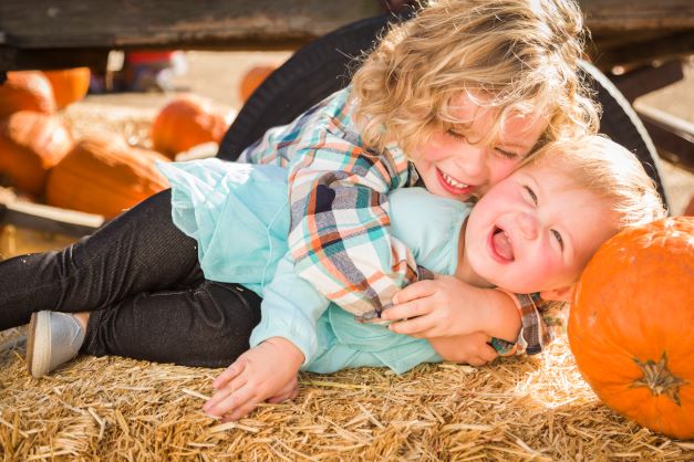 Little toddler and baby siblings at pumpkin patch