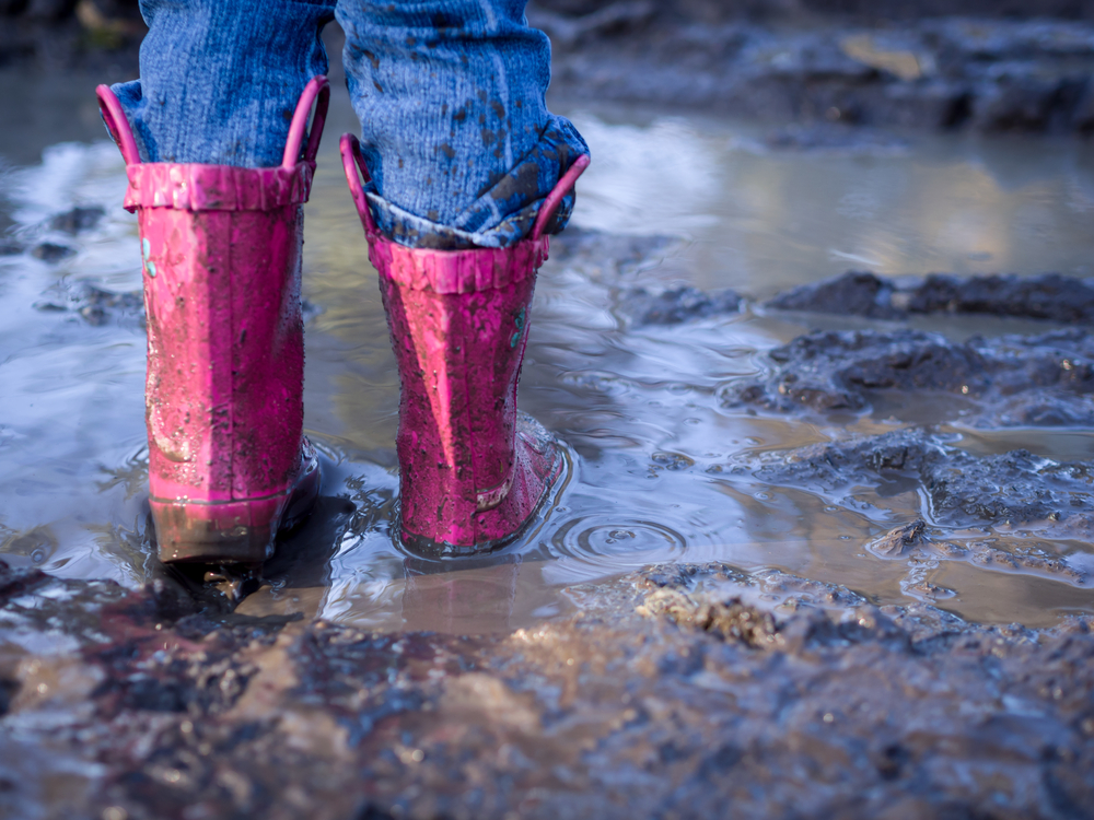Black Western Chief Girl's Waterproof Classic Youth Size Rain Boots Boot 3 M US Big Kid 