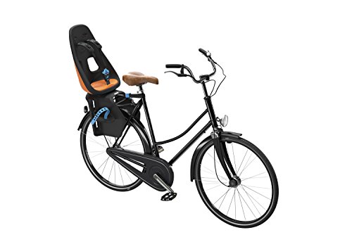 bike baby seat age
