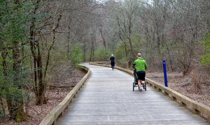 Father jogging with running stroller in park