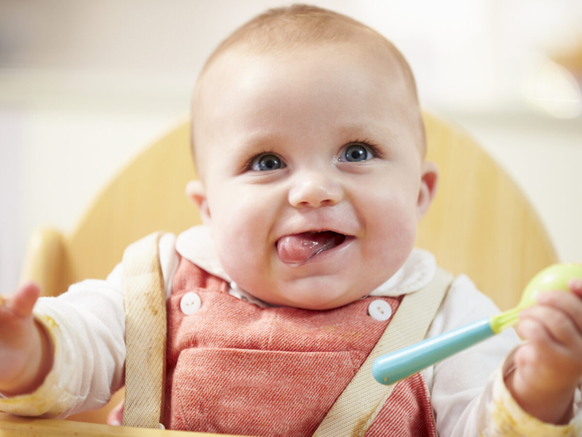 Best Hook On High Chairs 2021 Best Hook On High Chairs 2021, Best Clamp On High Chair