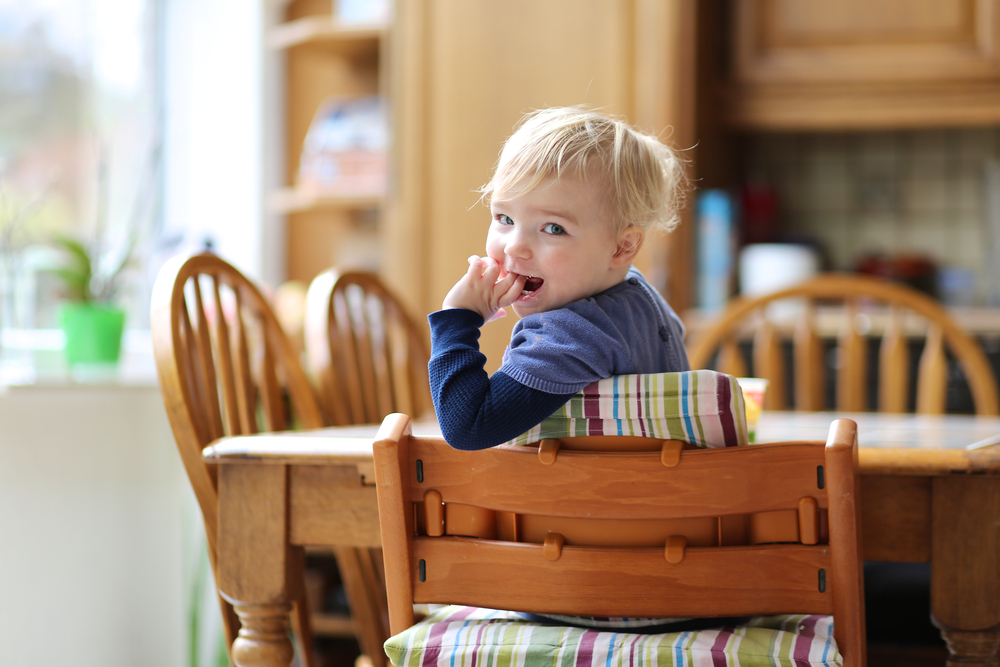 chairs for toddlers to sit at the table
