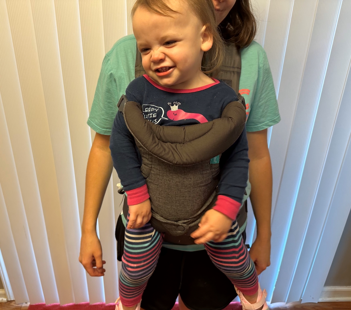 The Best Baby Carriers for Dads