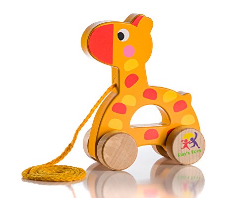 toys for a year old boy