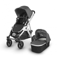 UPPAbaby Cruz vs Vista- What's the Difference?