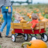 toddler and baby in stroller wagon at pumpkin patch
