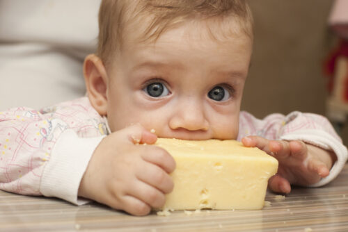 baby taking a bite out of cheese