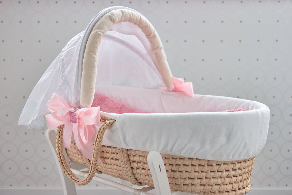 bassinet and moses basket