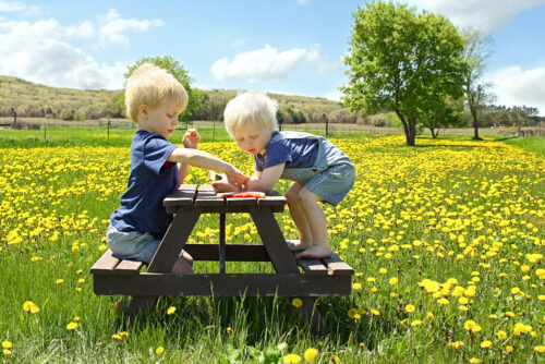best kids picnic table