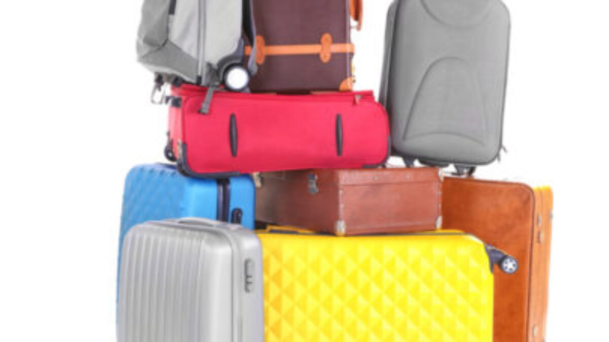 stroller bag for flying