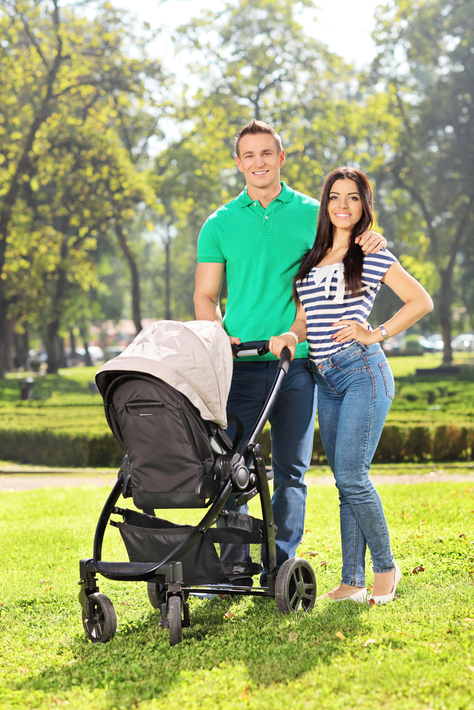 chicco stroller airplane