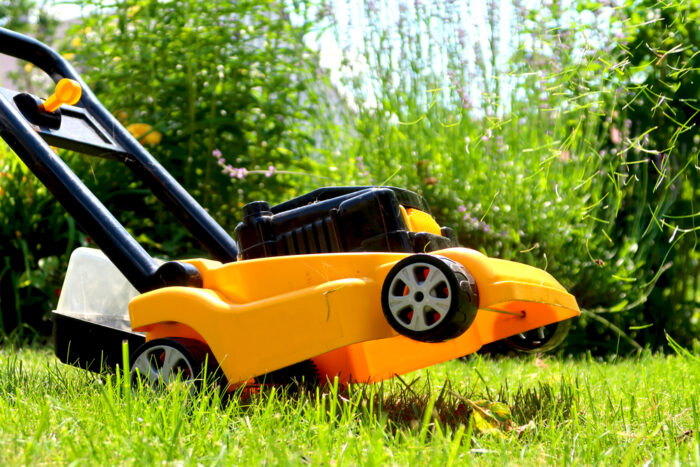 best toy lawn mower