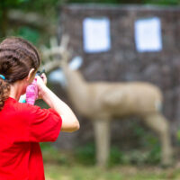 Young girl practcing target shooting with a bb gun at a model deer in the woods