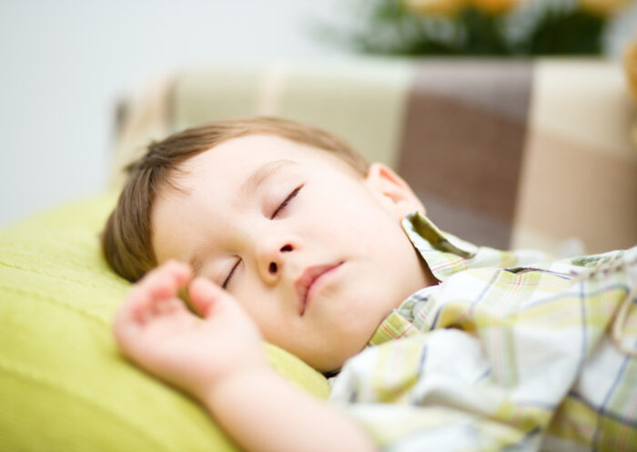 portrait of toddler boy napping on pillow