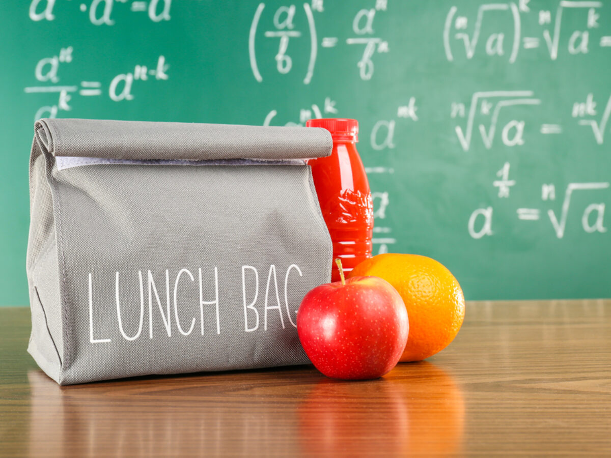 thirty one work bolsa