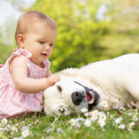 baby girl sitting in the grass playing with dog