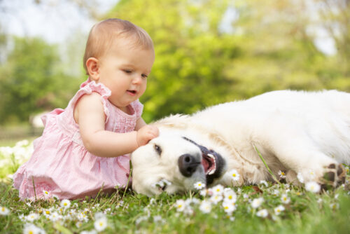 baby girl sitting in the grass playing with dog