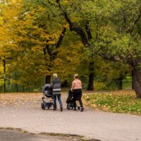 Two mom's taking their babies for a walk in their strollers in the park