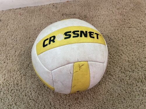 crossnet volleyball